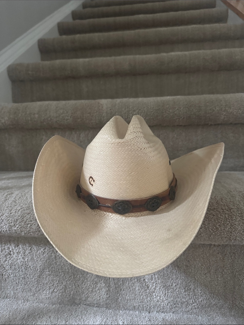 Charlie 1 Horse Custom Designed Hat
Make Me An Offer!!